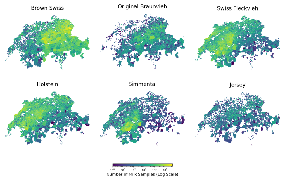 Figure 3.3: Sample distribution for each dairy cow breed.